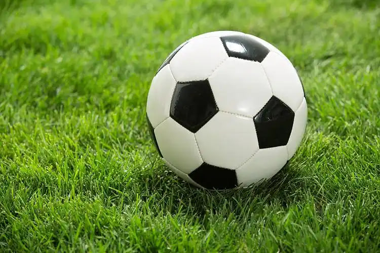 90vs足球比分网捷报多平台下载